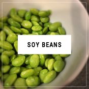 soy beans